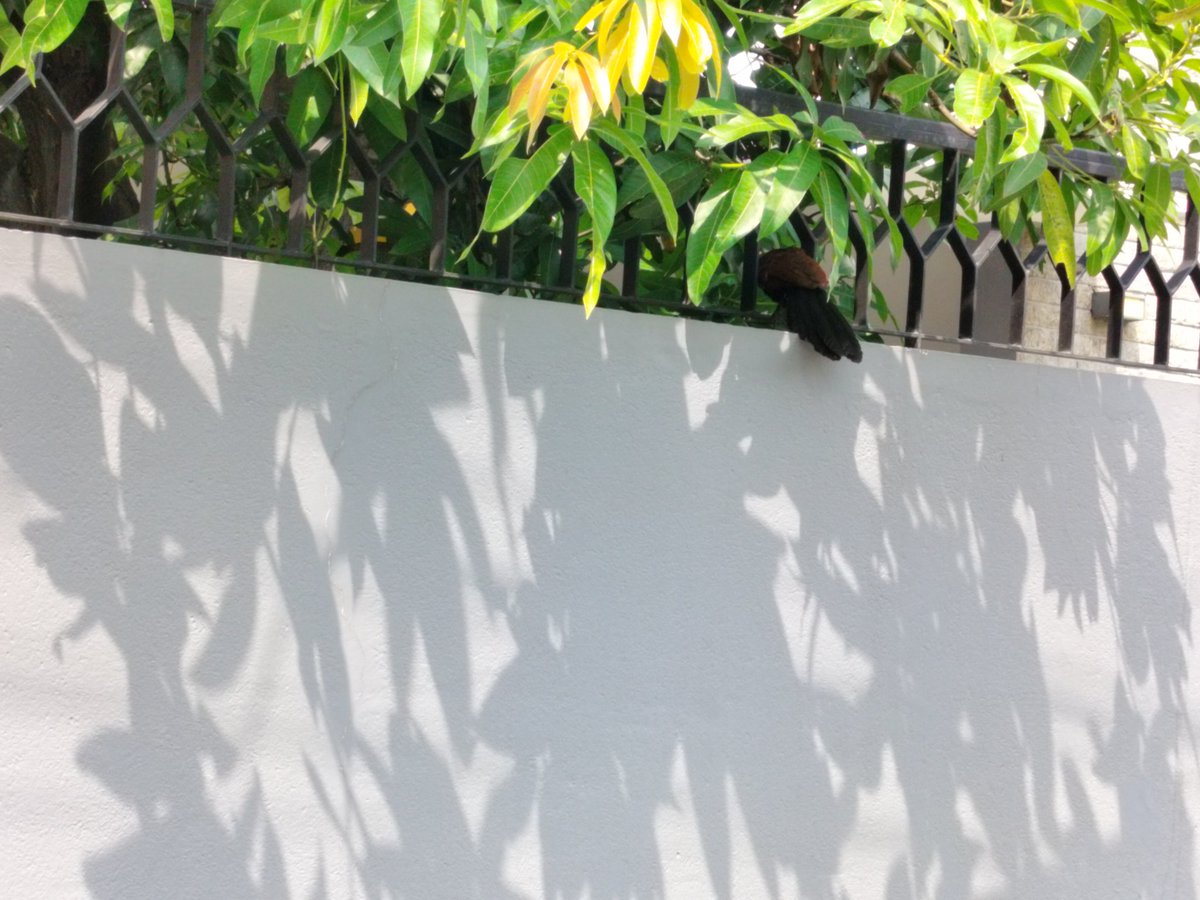 GoofyGiri's tweet image. #randompics
#NatureBeautiful 
#photography