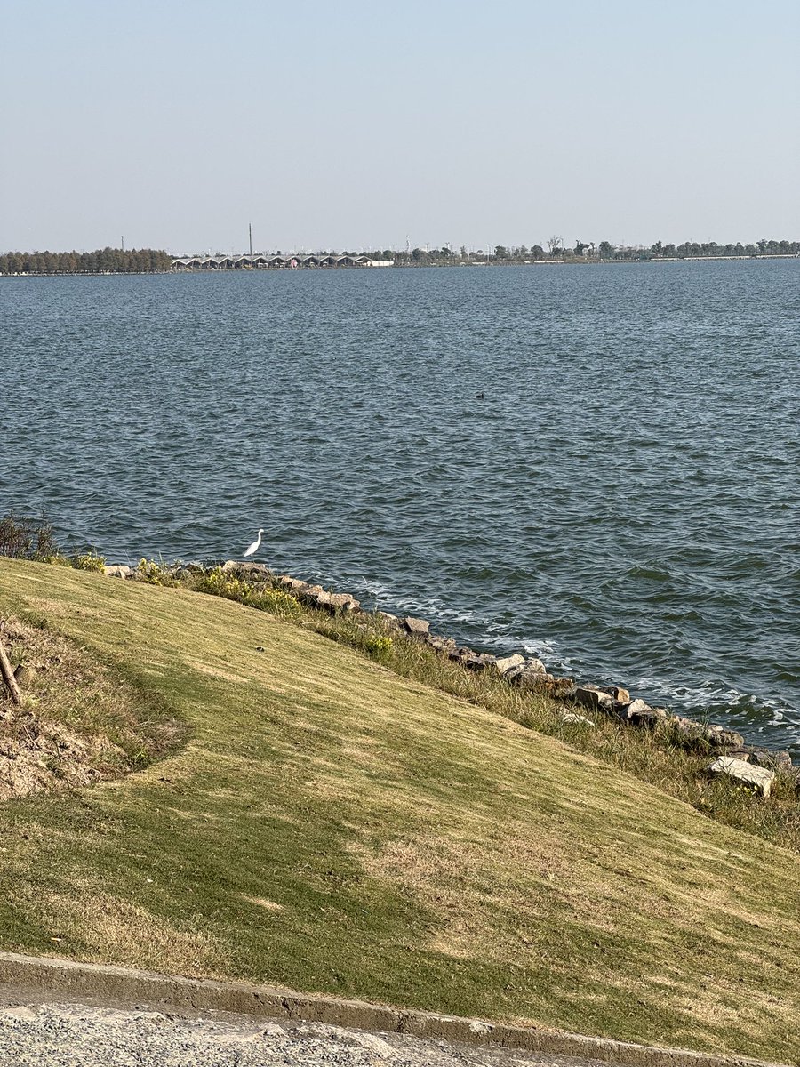 big uncle tweet media