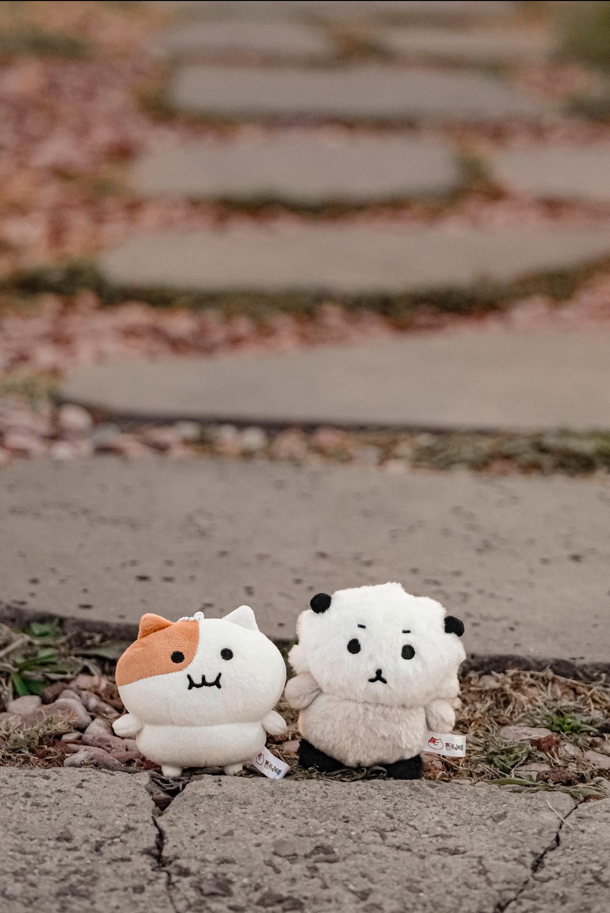 受注販売】もちにゃみぬいぐるみ 基本ver. – もちにゃみ公式