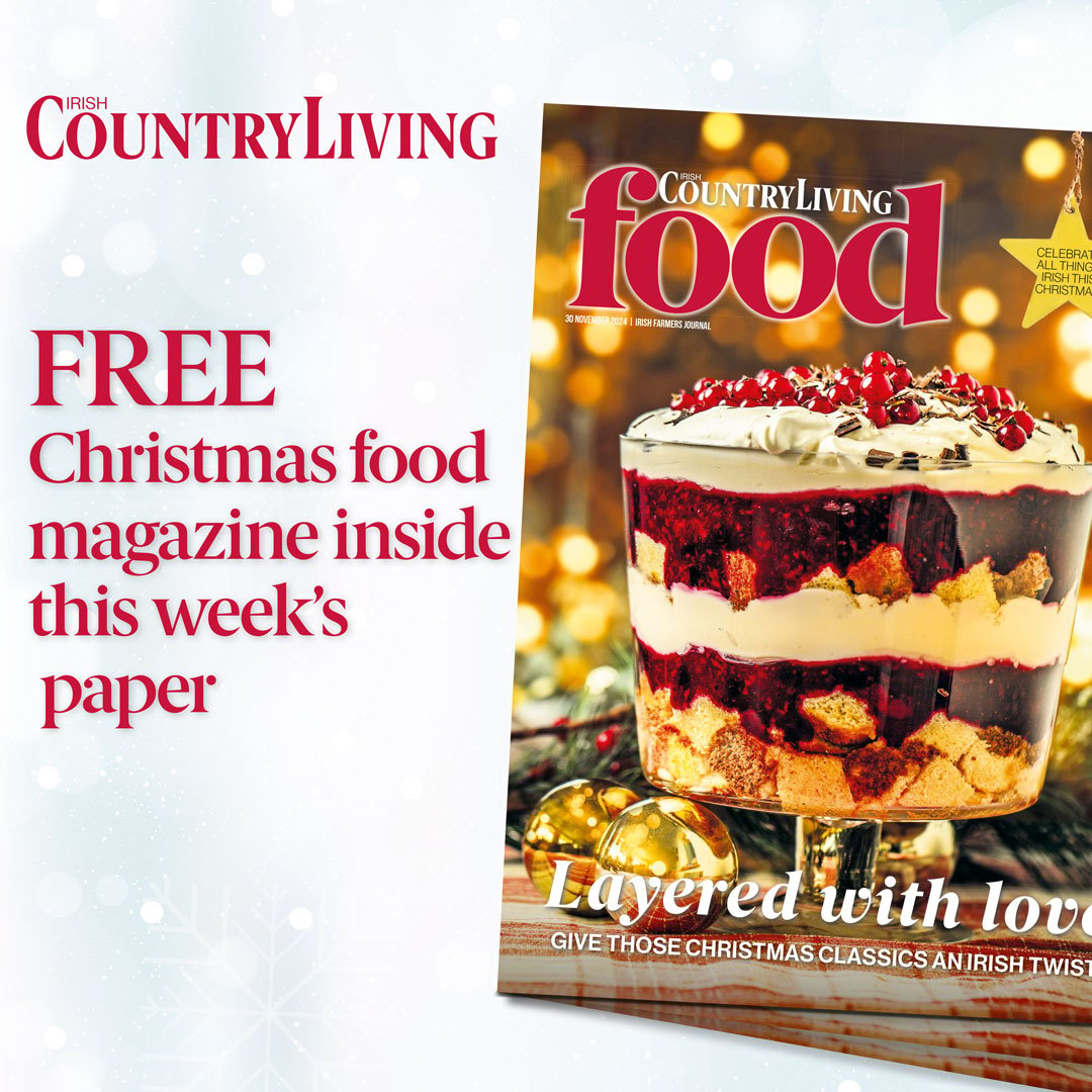 IrishCountryLiv's tweet photo. 🎄 | Don’t miss your FREE 36-page festive food magazine inside this week's Irish Farmers Journal. 

Celebrating all things Irish this Christmas, on sale now! https://t.co/td0DXoknuI