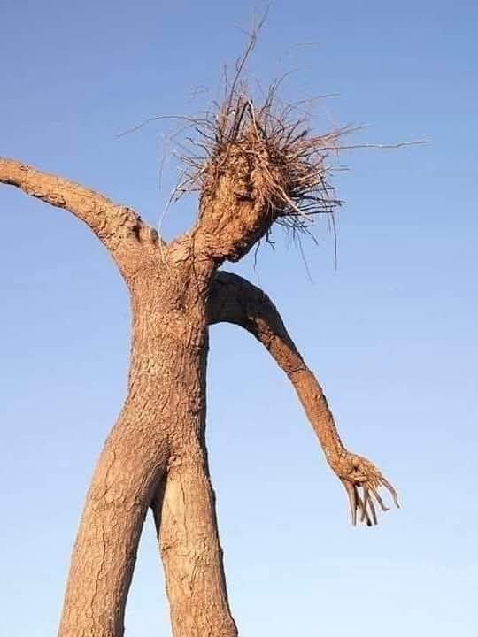 جب عورت مرد پر بھاری ہو جائے تو😂
  شوہر کاحال یہ ہوجاتا ہے 🤣