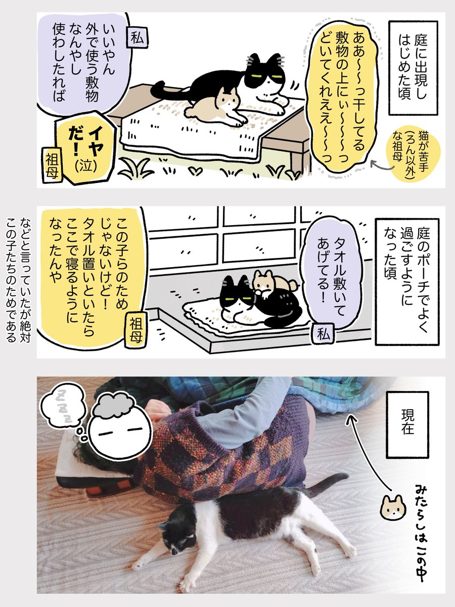 黒猫 MTM339-01（クロネコ） – メタモルフォーゼ