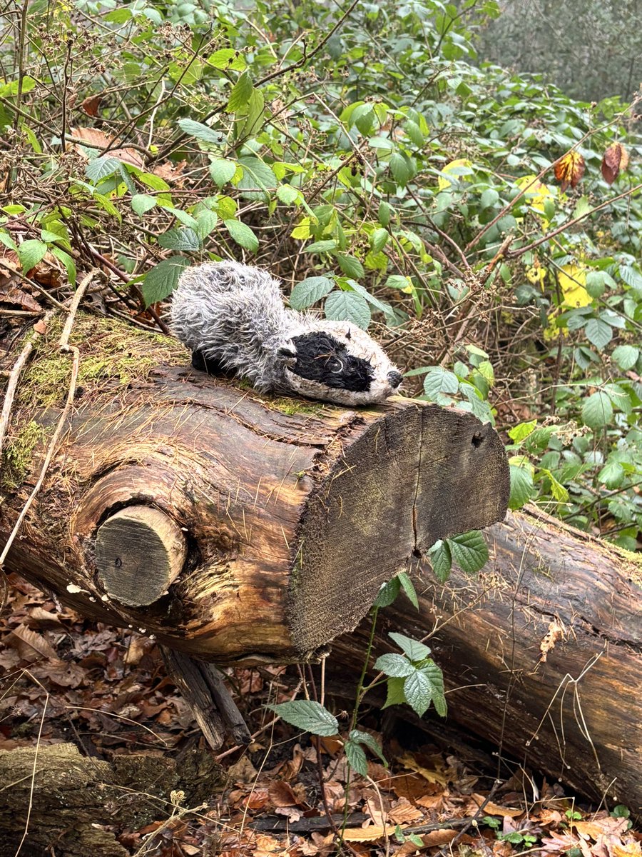 Has someone lost a favourite toy in #BansteadWoods? <a href="/WOIBanstead/">Whats On In Banstead</a>