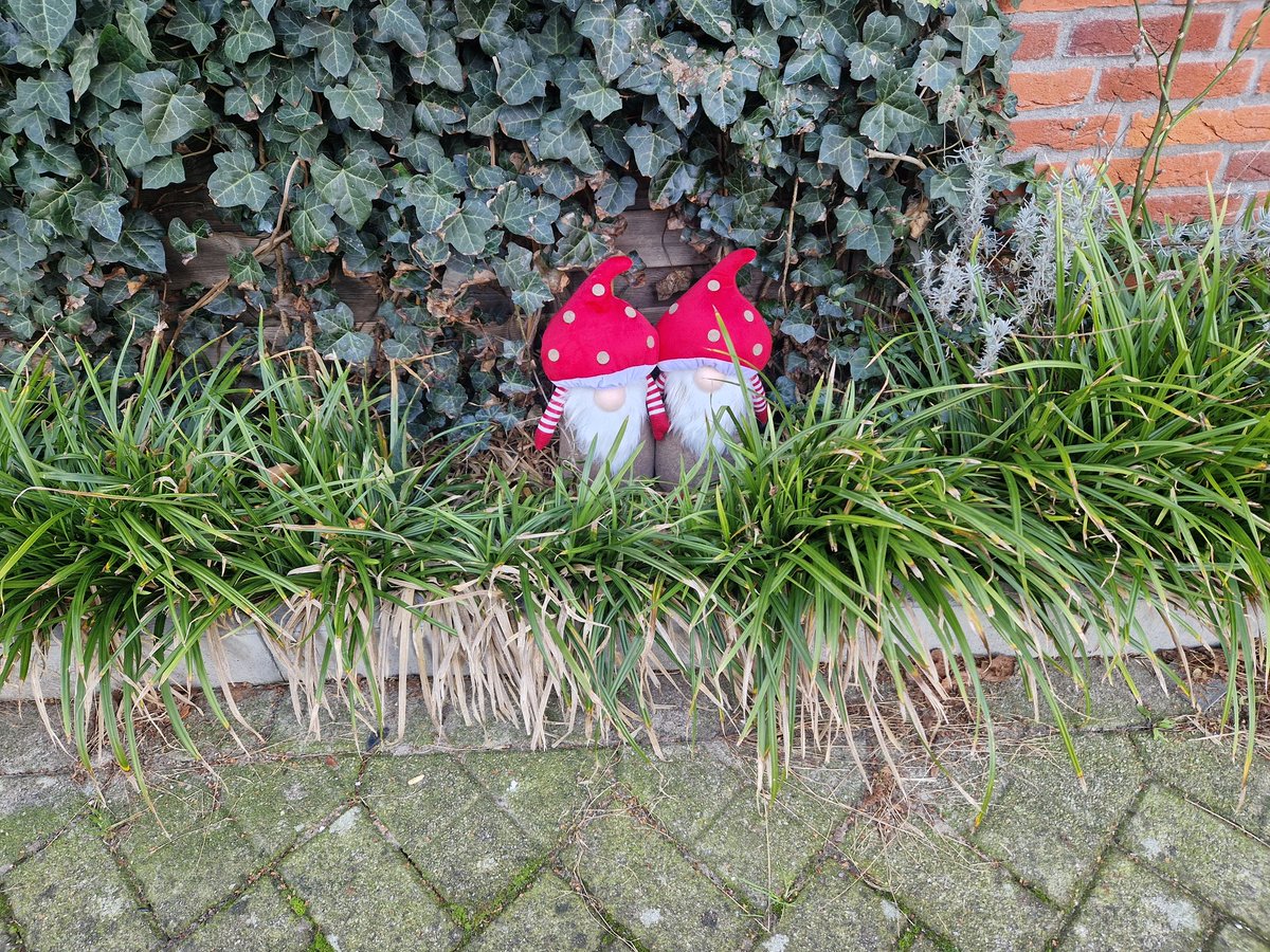 Ed Bakker (@geuzenbuurt) on Twitter photo Gespot in de #Geuzenbuurt in <a href="/GemeenteHsum/">Gemeente Hilversum</a> Gespot in de #Geuzenbuurt in <a href="/GemeenteHsum/">Gemeente Hilversum</a>
