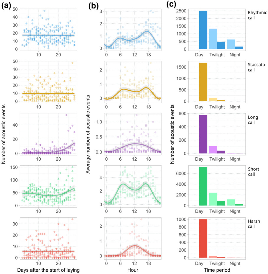 J. of Avian Biology (@avianbiology) on Twitter photo NEW PAPER: Incubating black-tailed godwits use five main call types for nest communication and predator alerts, showing distinct diurnal patterns and high variation in call frequency between breeding pairs.
➡️ vist.ly/3mnq3bx
<a href="/OBelfin/">Ondrej Belfin</a> <a href="/MPIforBI/">MPI for Biological Intelligence</a> #ornithology #godwits NEW PAPER: Incubating black-tailed godwits use five main call types for nest communication and predator alerts, showing distinct diurnal patterns and high variation in call frequency between breeding pairs.
➡️ vist.ly/3mnq3bx
<a href="/OBelfin/">Ondrej Belfin</a> <a href="/MPIforBI/">MPI for Biological Intelligence</a> #ornithology #godwits