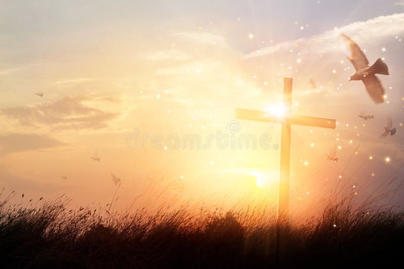 Pecae and love ✝️✝️✝️✝️
