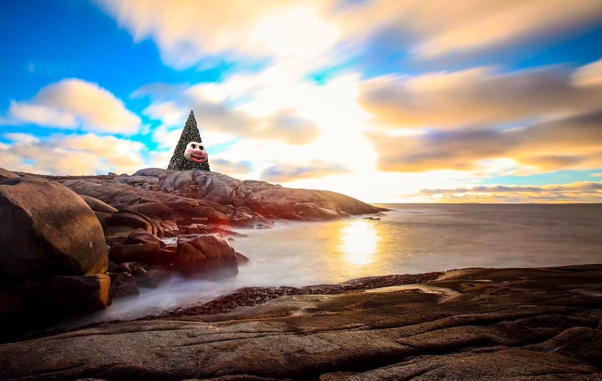 They’ll stay off the black rocks now.