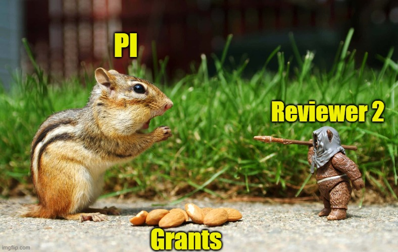 Indrajeet_Human's tweet photo. #Science #neuroscience #sciencefantasy #phdlife #postdoc #academia #reviewer2 #Postdocs #brain #Neurology #Psychiatry #Psychology https://t.co/BbLm537g6T