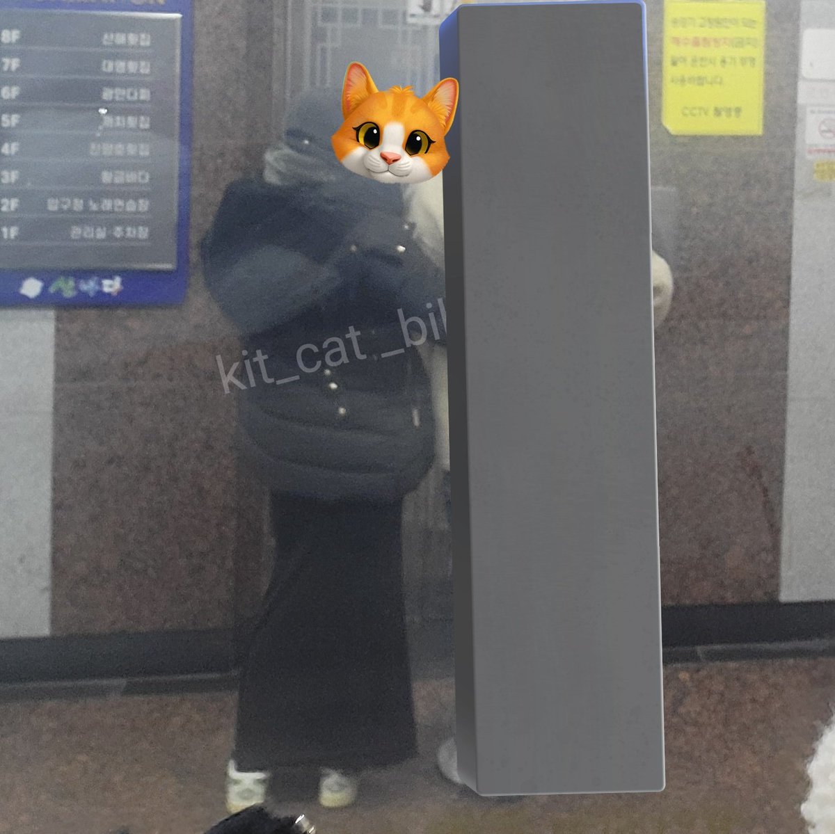 한킷캣 tweet media