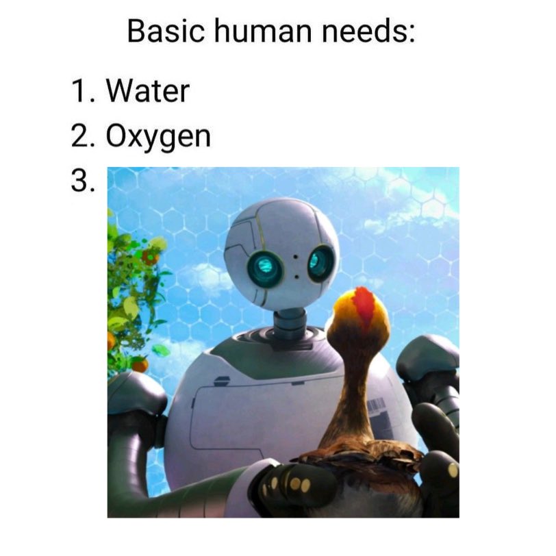 Day 35
#TheWildRobot