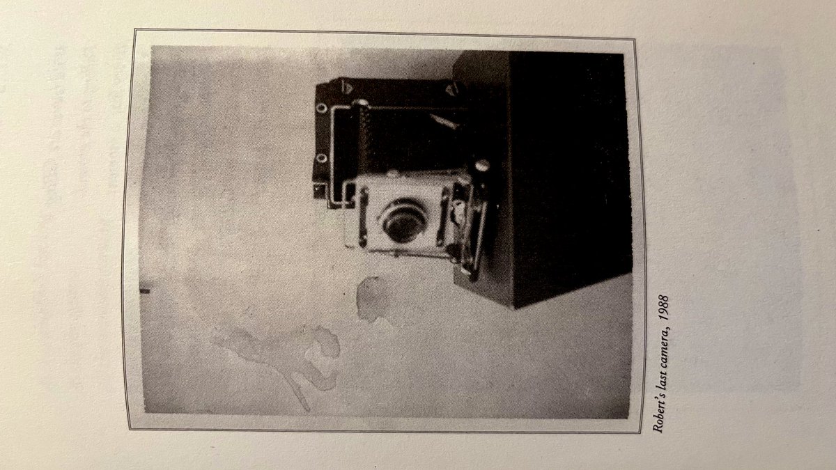 novembergirl22's tweet image. 