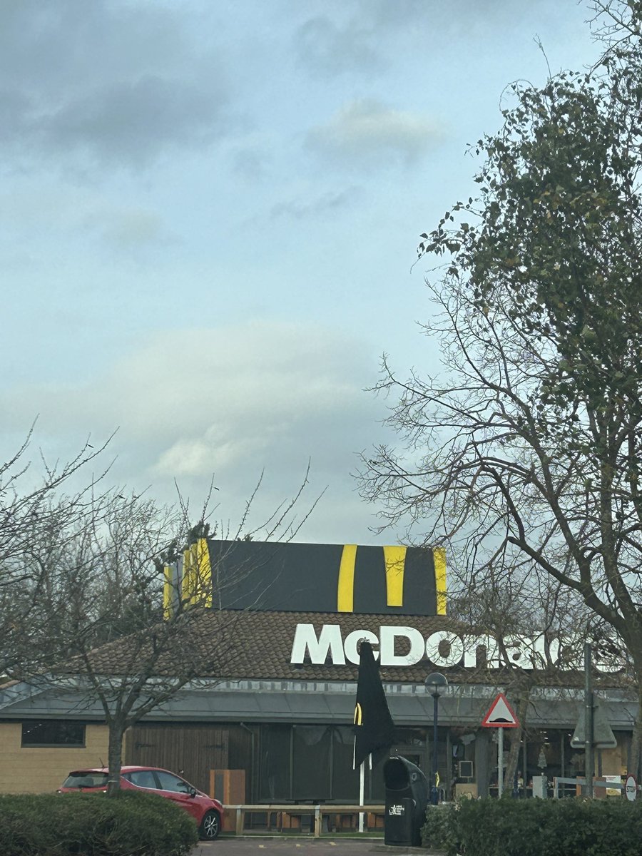 Dan B ♔ tweet media