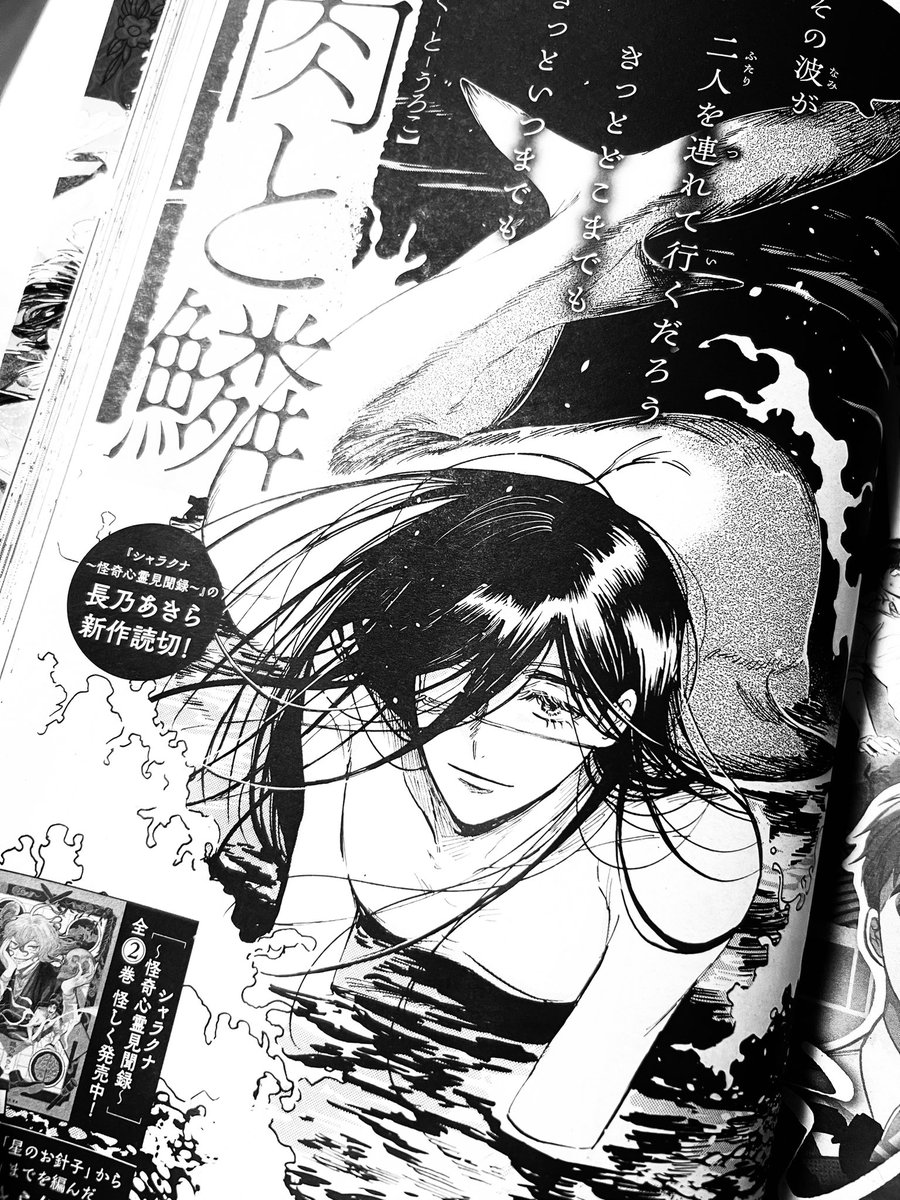 11月22日発売のASUKA 2025年1月号にて読切「肉と鱗」の後編を掲載頂いております。よろしくお願いいたします。 