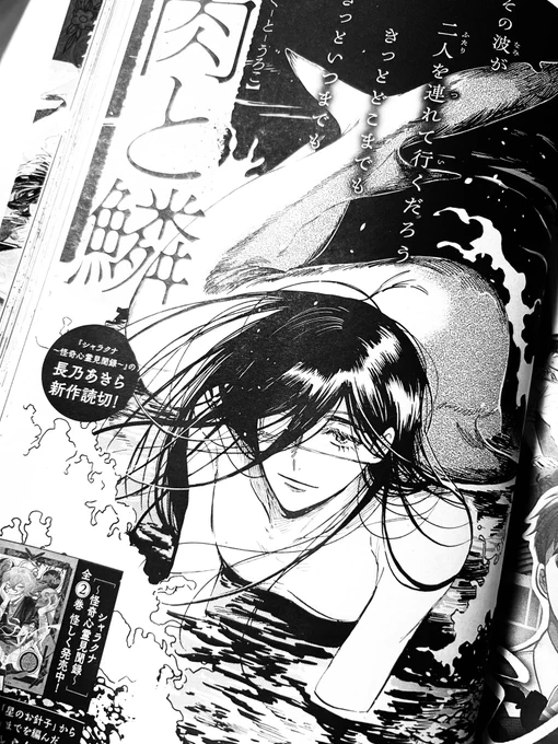 11月22日発売のASUKA 2025年1月号にて読切「肉と鱗」の後編を掲載頂いております。よろしくお願いいたします。 