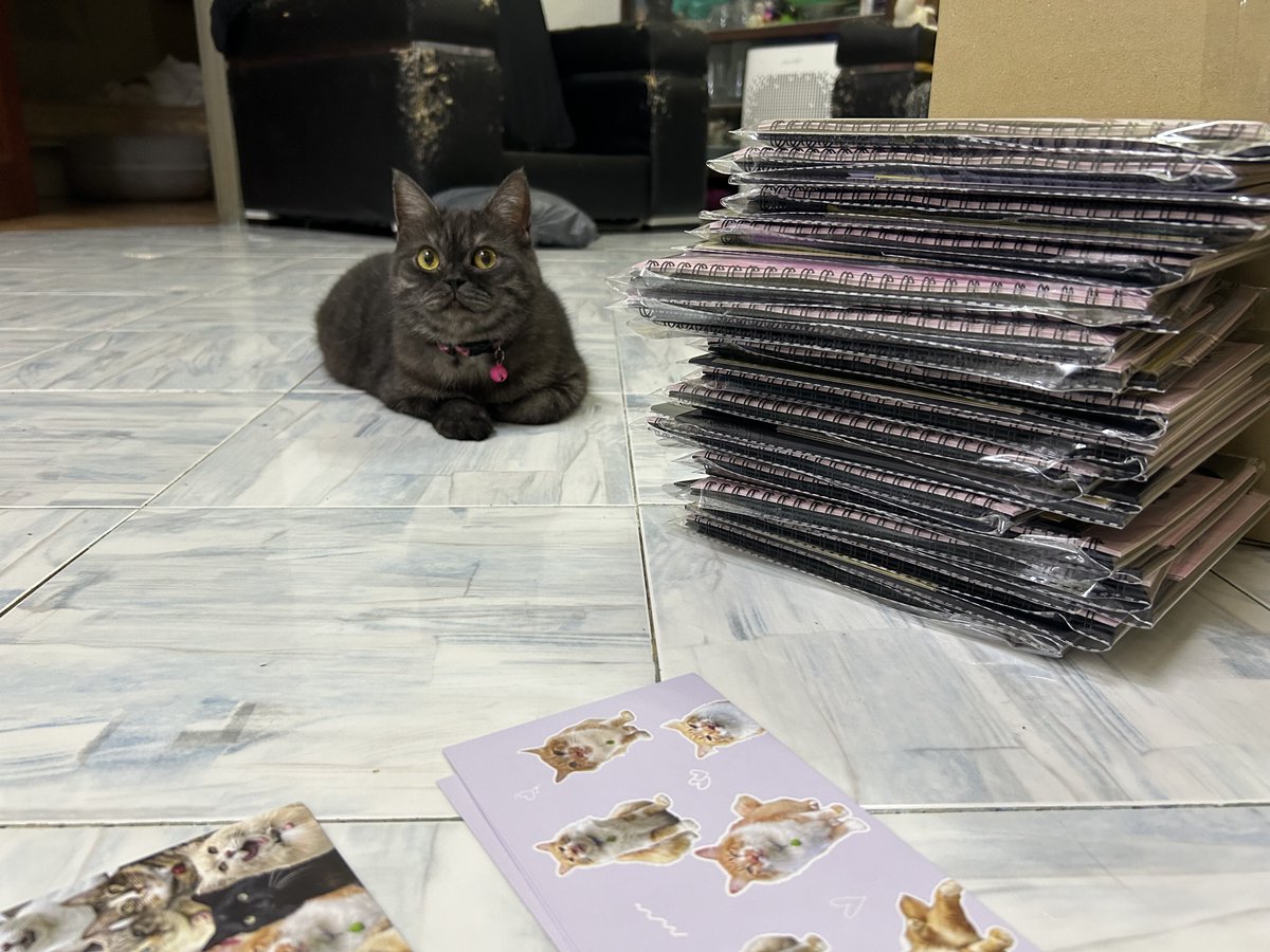 yemmeow's tweet photo. Yang paling setia, hari hari teman mommy settlekan kalendar https://t.co/WApiWWIfB5