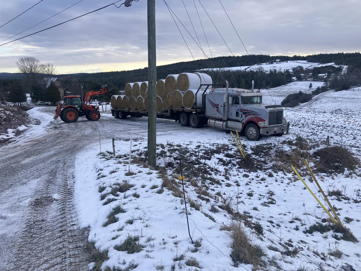 Sat morning delivery to southern New Brunswick for some strawberries. Some snow here, none at home still