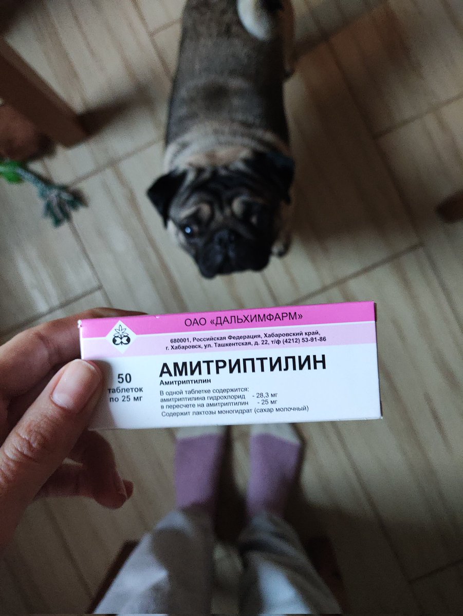 "Мама, купи же мне амитриптилин..."©ПФ

Врач перевел меня на другой АД. Просыпаться на закате 🫠👌 Я в жизни столько не спала