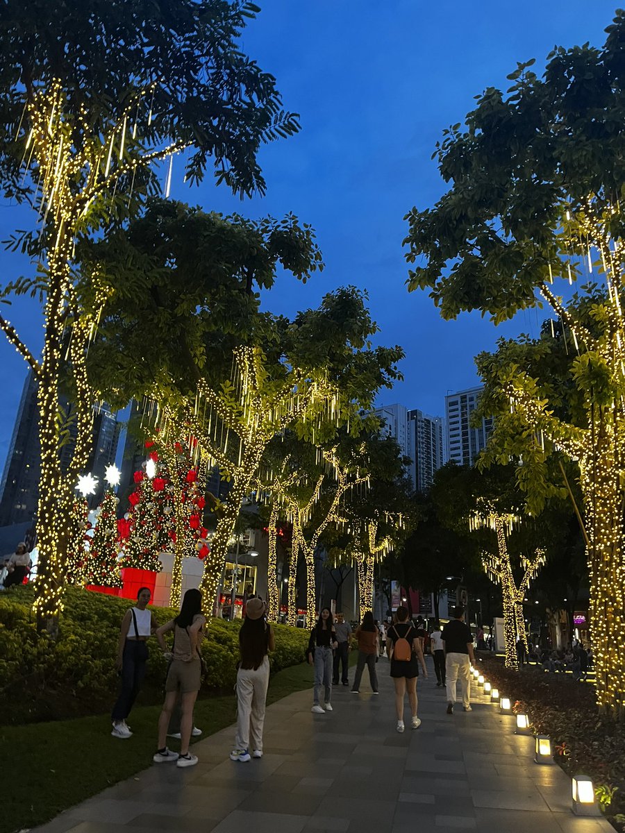 jesincomments's tweet photo. Strolling through the festive season and the lights are shining brighter than ever🌟 🎄 https://t.co/1tCsweeYpu