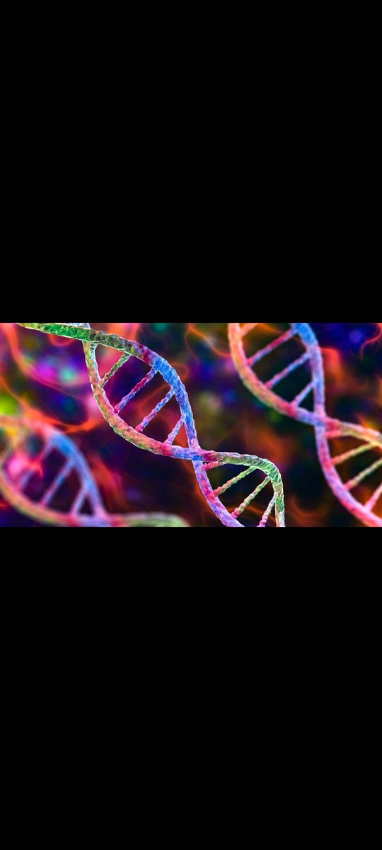 LPhiangdae's tweet photo. @ElonMuskPDA $DNA .. https://t.co/KQnH2uMvA6