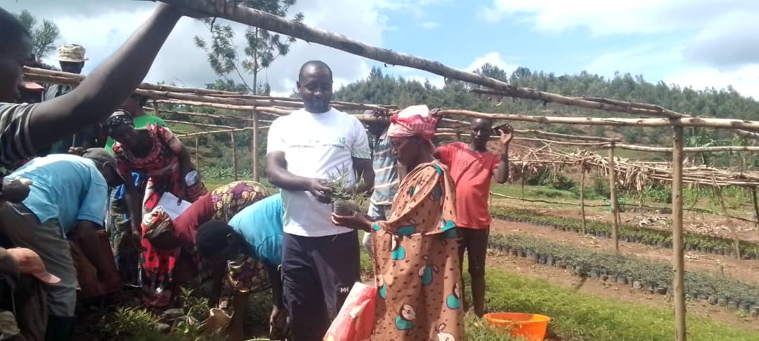 Rwanda Women Farmers Organization (@rwforganization) on Twitter photo A big milestone for TUGANEHEZA Cooperative in Muganza <a href="/GisagaraDistr/">Gisagara District</a> 300+ members &local residents received agroforestry & fruit trees (Grevillea, Calliandra, Avocado, Leucaena) to:Combat malnutrition,Boost food security & Promote environmental conservation
#GreenInitiatives A big milestone for TUGANEHEZA Cooperative in Muganza <a href="/GisagaraDistr/">Gisagara District</a> 300+ members &local residents received agroforestry & fruit trees (Grevillea, Calliandra, Avocado, Leucaena) to:Combat malnutrition,Boost food security & Promote environmental conservation
#GreenInitiatives