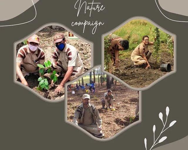 BrarTeona23's tweet photo. The #TreePlantation reflected the essence of Saint Dr MSG's teachings, emphasizing the importance of #CareForNature. The heartwarming moments that not only strengthened the bond between humanity & nature but also #PlantASapling of hope for a brighter & greener future. https://t.co/XqXpe6xbje
