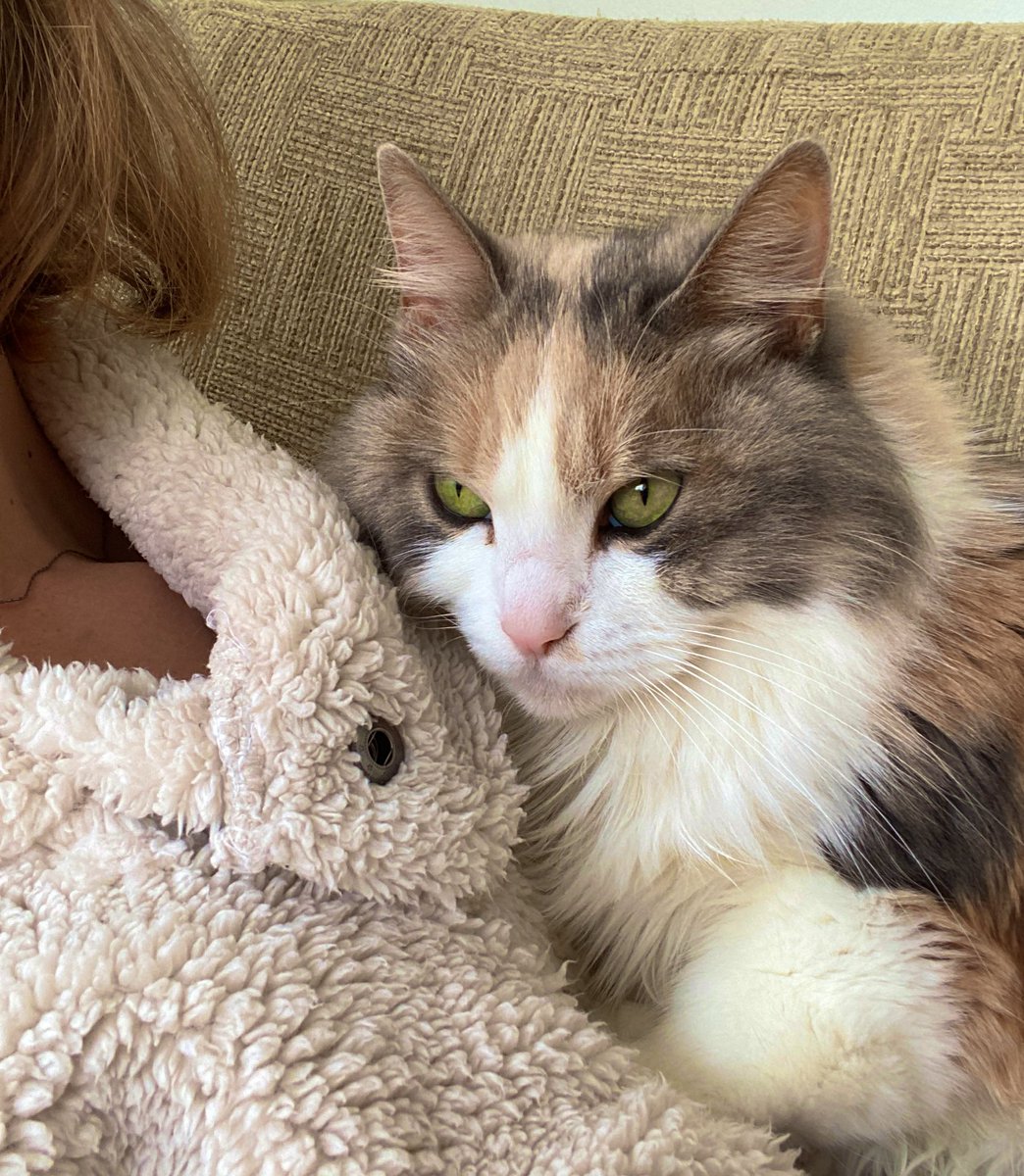 - ne yaptin bugun?
+ kime?