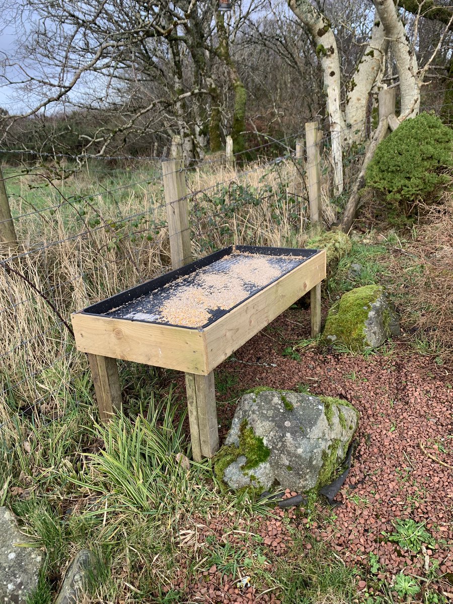 Gary Turnbull tweet media