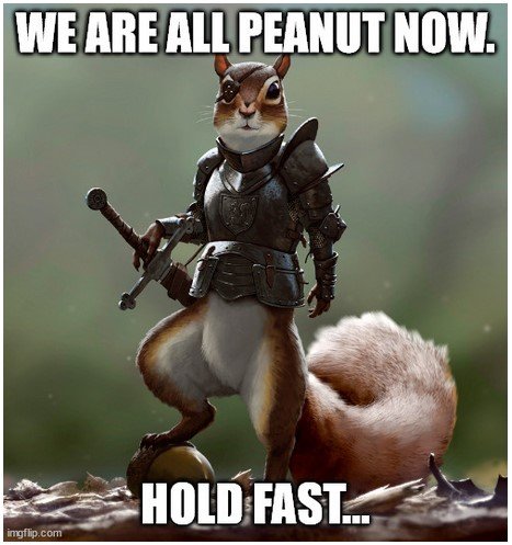 1stBillions's tweet photo. @DavidBajky @coinbase @coinbase incoming. Thank you for your support #PNUT We are all here to support a great course. https://t.co/WhCHWKXnsq