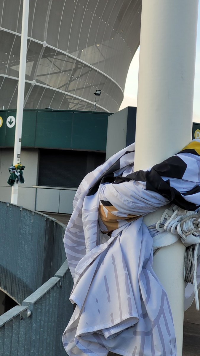 Piotr Majchrzak tweet media