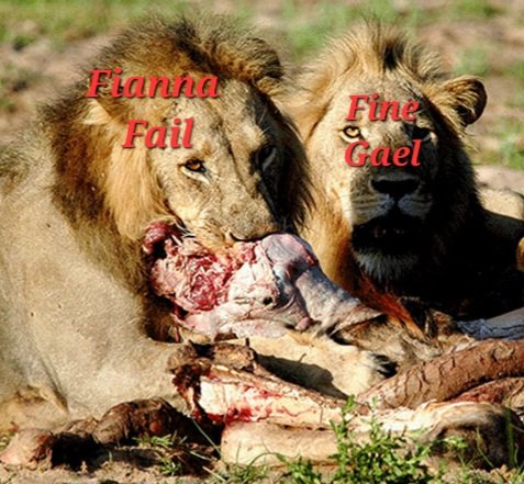 saoirse161616's tweet image. Fianna Gael scavenging for a small party to destroy as they look to return to increasing homelessness,house prices and rents in the next 5 years.... #GE24 #GeneralElection2024