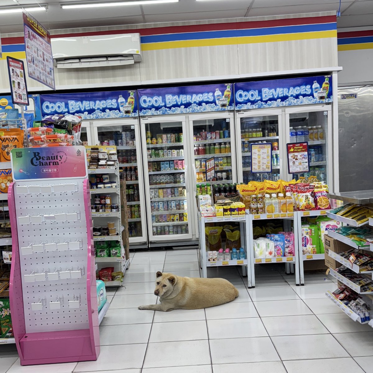 sonde🍉 tweet media