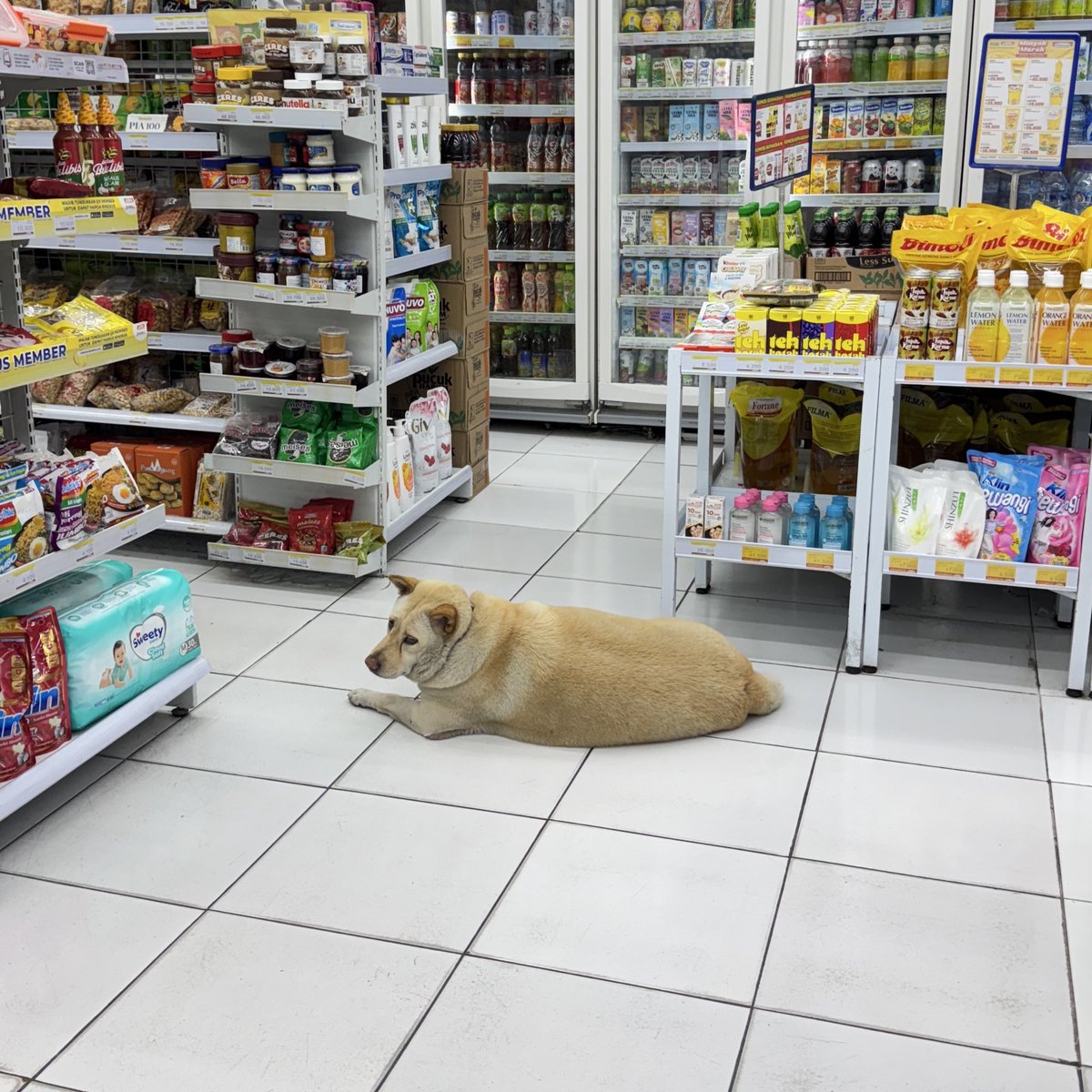 sonde🍉 tweet media