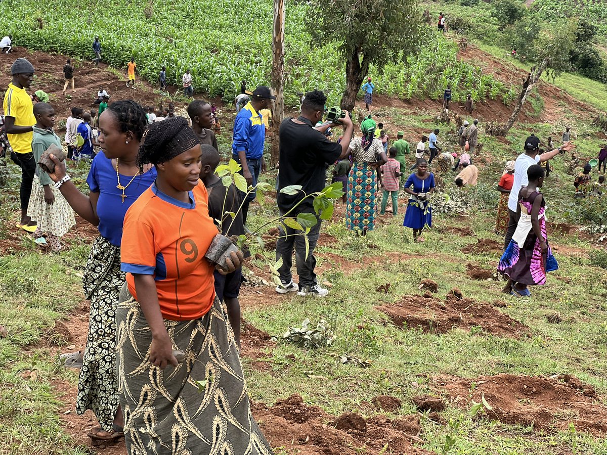 WGYB_NGO's tweet photo. We are happy to share the success of today’s Monthly Umuganda (Community Work) in Gisagara District, organized under the Green Rising Program with support from @unicefrw and @RwandaYouthArts. With around 1,000 youth, we planted 8,000 trees in Ruhuha Village, Kibirizi Cell, Kibirizi Sector.

Today’s #Umuganda highlighted the remarkable power of youth-led environmental action and reaffirmed our shared commitment to creating a #GreenTomorrow for Rwanda and beyond.  

A heartfelt thanks to our partners—@unicefrw, @RwandaYouthArts , the @RwandaForestry (RFA), the leadership of @GisagaraDistr and our Green Rising Ambassadors.  

#GreenRisingRwanda #Umuganda #GreenTomorrow #YouthAction @RwandaYouthArts @GenUnlimited_ @unicefrw @LindseyJulianna @KevinJWFrey