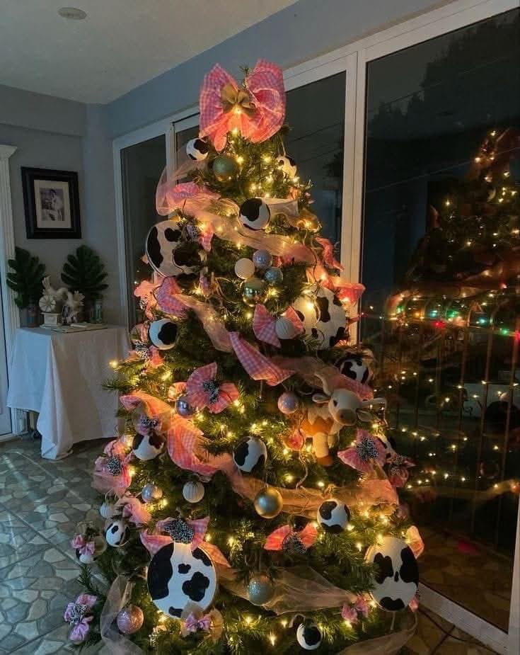 aliparkCOW's tweet photo. That’s the Christmas COWnt down started…#christmascow #christmasdecorations 🐄🐄 https://t.co/0yzwx5N6Dq