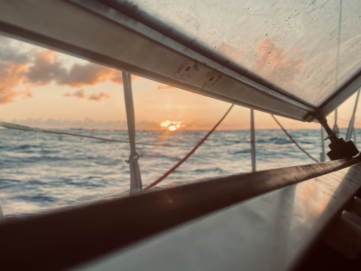 A 12h30 TU le 30/11, il nous reste 445 miles pour l’entrée du port du Marin. Les paris sont ouverts pour une Arrivée le 3/12 en heure TU. 

Philippine 9h15 
Quentin 10h30
Sebastien 12h00

Faites vos jeux, rien ne va plus …

Mets ton heure en commentaire.??))