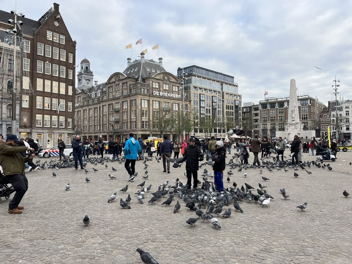 Geen geschreeuw op de Dam, maar duiven! 🥰😍🥰