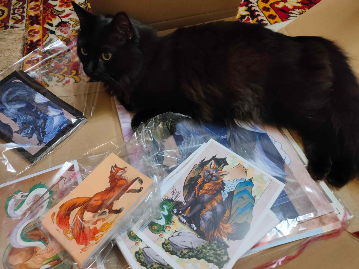 🧡 Full-time Fox 🦊 tweet media