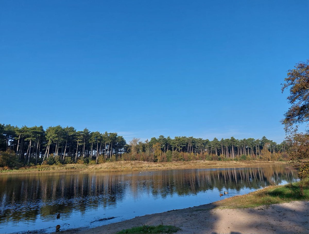 Een rustige plek waar historie en natuur samenkomen, Doodemanskisten, omringd door de oudste bossen van Terschelling.

Of je er nu in de zomer wandelt of in de winter het betoverende landschap ontdekt, dit sprookjesachtige stukje eiland blijft verbazen.

📷 Marja Eerelman