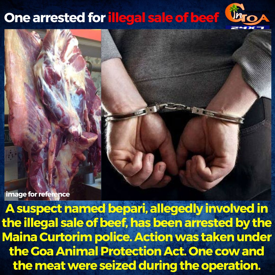 InGoa24x7's tweet photo. A suspect named bepari, allegedly involved in the illegal sale of beef, has been arrested by the Maina Curtorim police. Action was taken under the Goa Animal Protection Act. One cow and the meat were seized during the operation.
#goa #goanews #illegalbeefsale #animalprotectionact https://t.co/6kG3n7Tf2q