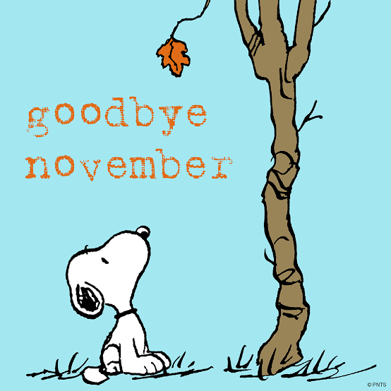 onekairo's tweet photo. As the month wraps up, 

here’s a quick recap of my coding journey—it’s been such a blast! 🎉 https://t.co/dBbiQHYgRl