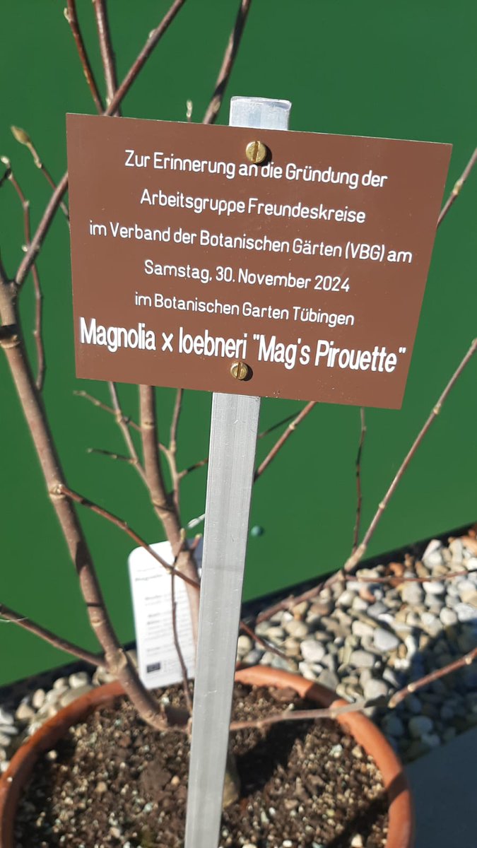 MCBotany's tweet image. Heute war ein besonderer Tag für den #VerbandBotanischerGärten (VBG). Gründung des Arbeitskreises "Freundeskreise" im wie immer wunderschönen #Tübingen #BotanischerGarten
@uni_tue