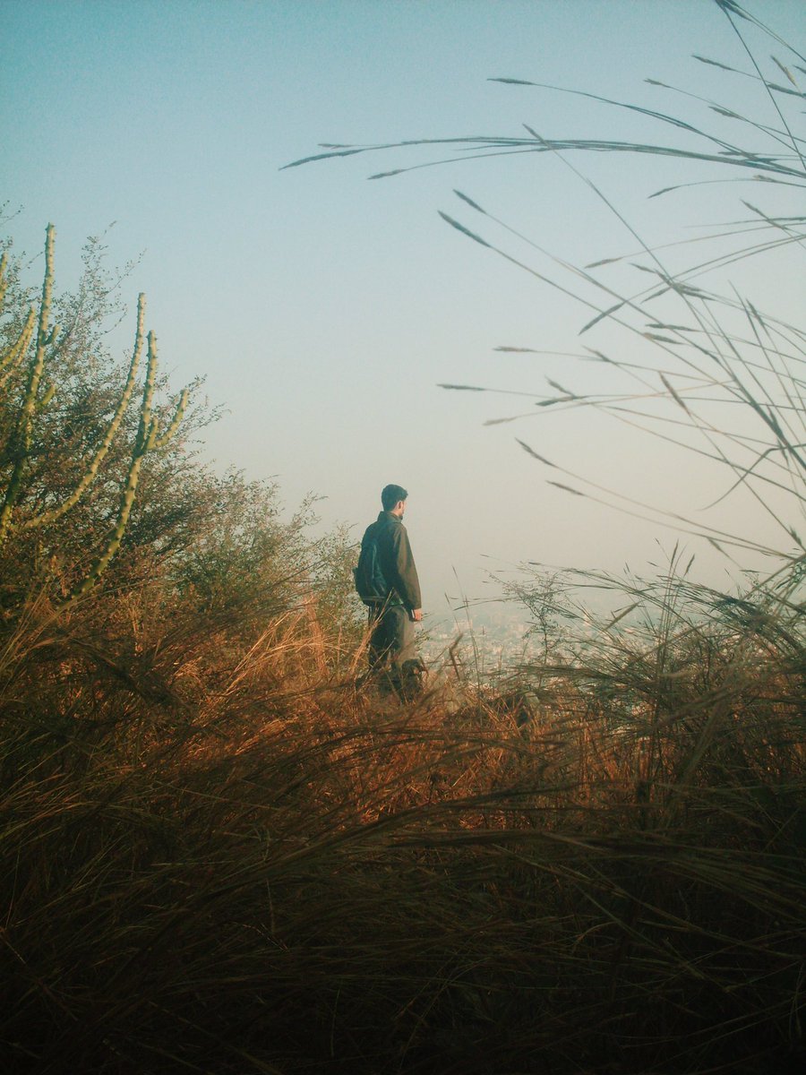 bhupendranawat's tweet image. the camera and the photos