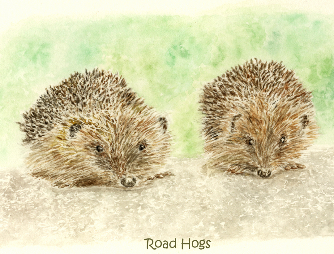 grenvilleallen's tweet image. Winter's now here. Not only hedgehogs like a warm and cosy spot. There we were enjoying 80's pub life. Getting back to hedgehogs, I've a range of prints for sale. Simply visit grenvilleallen.com and check out Animal Magic.🥰 
#artartart🎨#publife #artistssupportingartists❤️