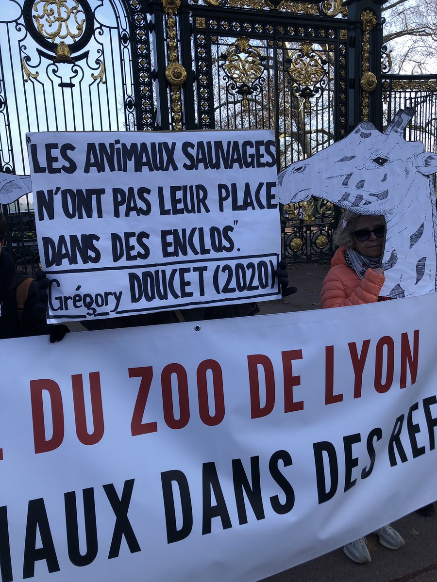 paz_zoopolis's tweet photo. 📢Mobilisation devant le parc de la tête d’or pour demander la fermeture du #ZooDeLyon.

400 animaux y sont emprisonnés.⛓️🦩🐒🦒

@Gregorydoucet, il est temps d’y mettre un terme.🕞 @villedelyon https://t.co/8S5hx9pI2U