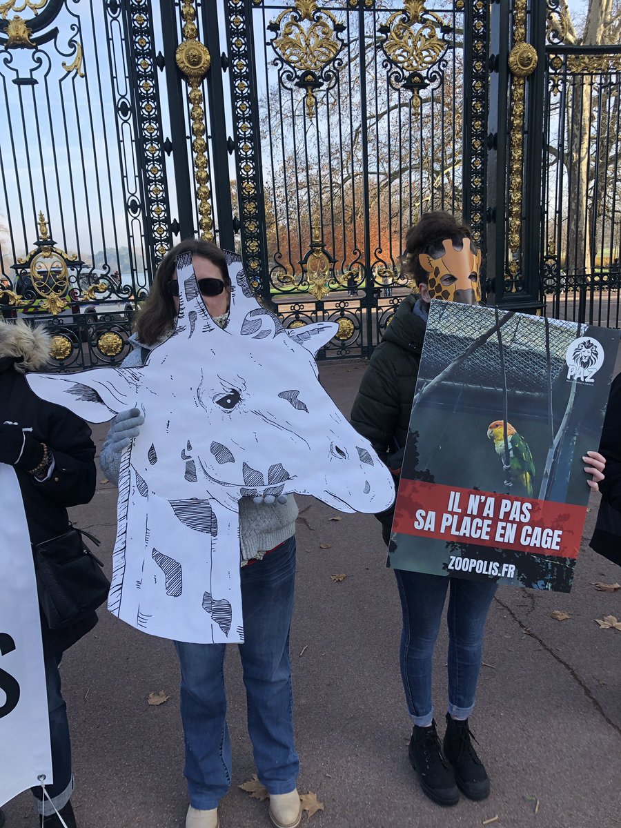 paz_zoopolis's tweet photo. 📢Mobilisation devant le parc de la tête d’or pour demander la fermeture du #ZooDeLyon.

400 animaux y sont emprisonnés.⛓️🦩🐒🦒

@Gregorydoucet, il est temps d’y mettre un terme.🕞 @villedelyon https://t.co/8S5hx9pI2U