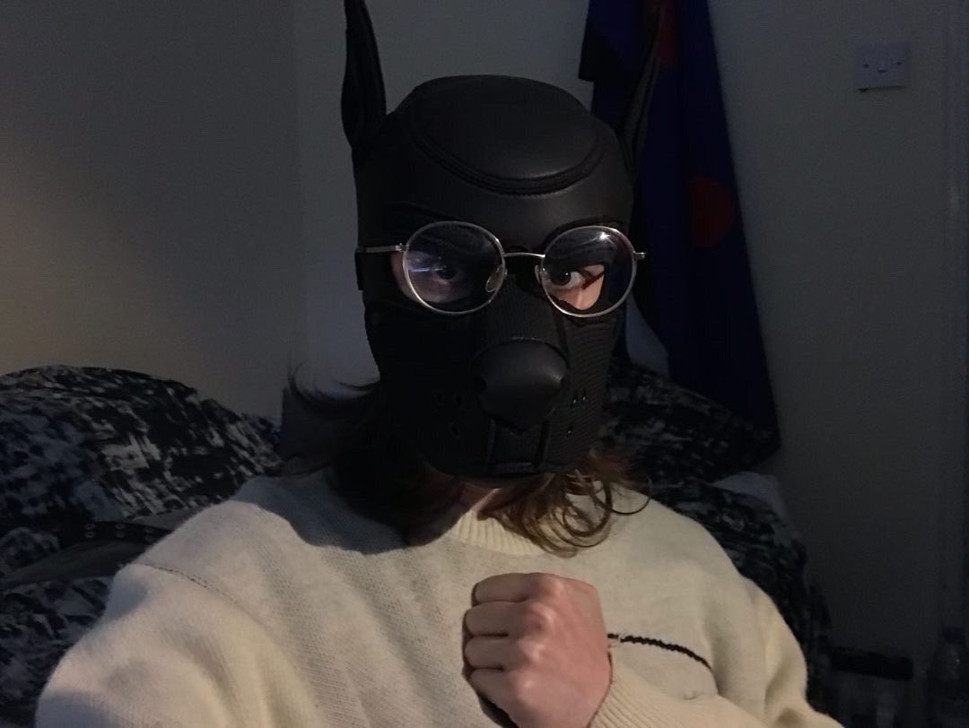 sheathstink's tweet photo. U guys r gay asl https://t.co/6GNMee8B8L