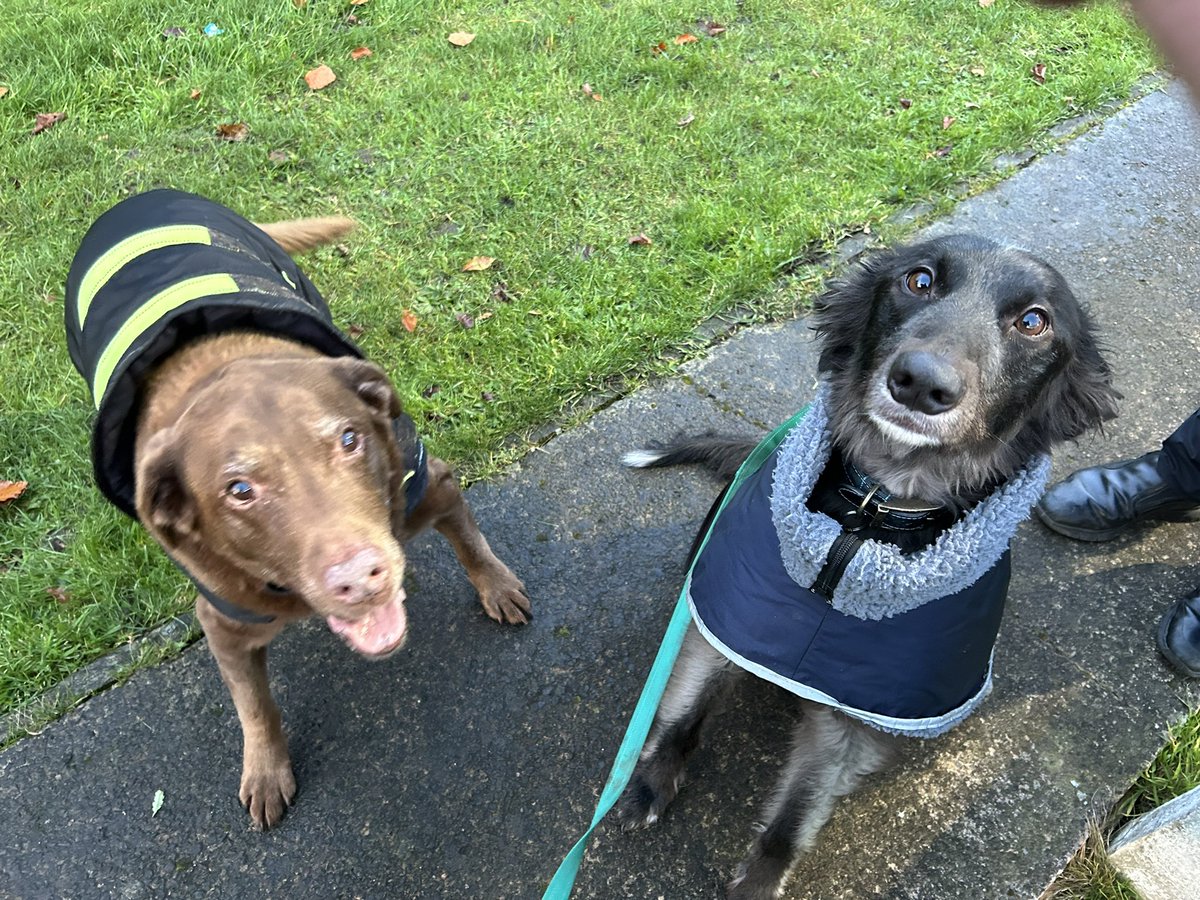 MillfieldMurphy's tweet photo. Enjoyed my away day at Whickham watching @crooktown_afc win 3-1 to climb to 8th in the league and catching up with Black and Amber legend Toby! https://t.co/YkjWSO7S58