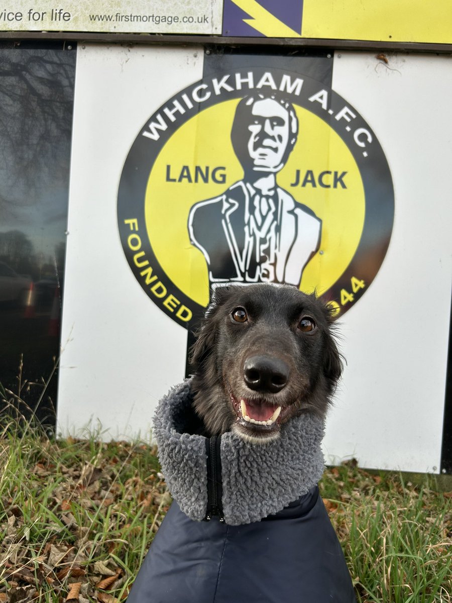 Enjoyed my away day at Whickham watching <a href="/crooktown_afc/">Crook Town AFC 🖤💛</a> win 3-1 to climb to 8th in the league and catching up with Black and Amber legend Toby!