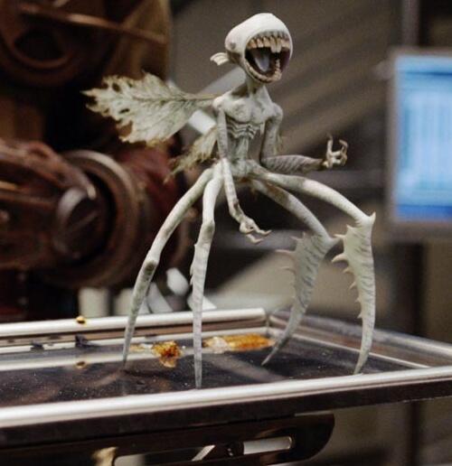 Tooth Fairies are ravenous, multi legged winged creatures that