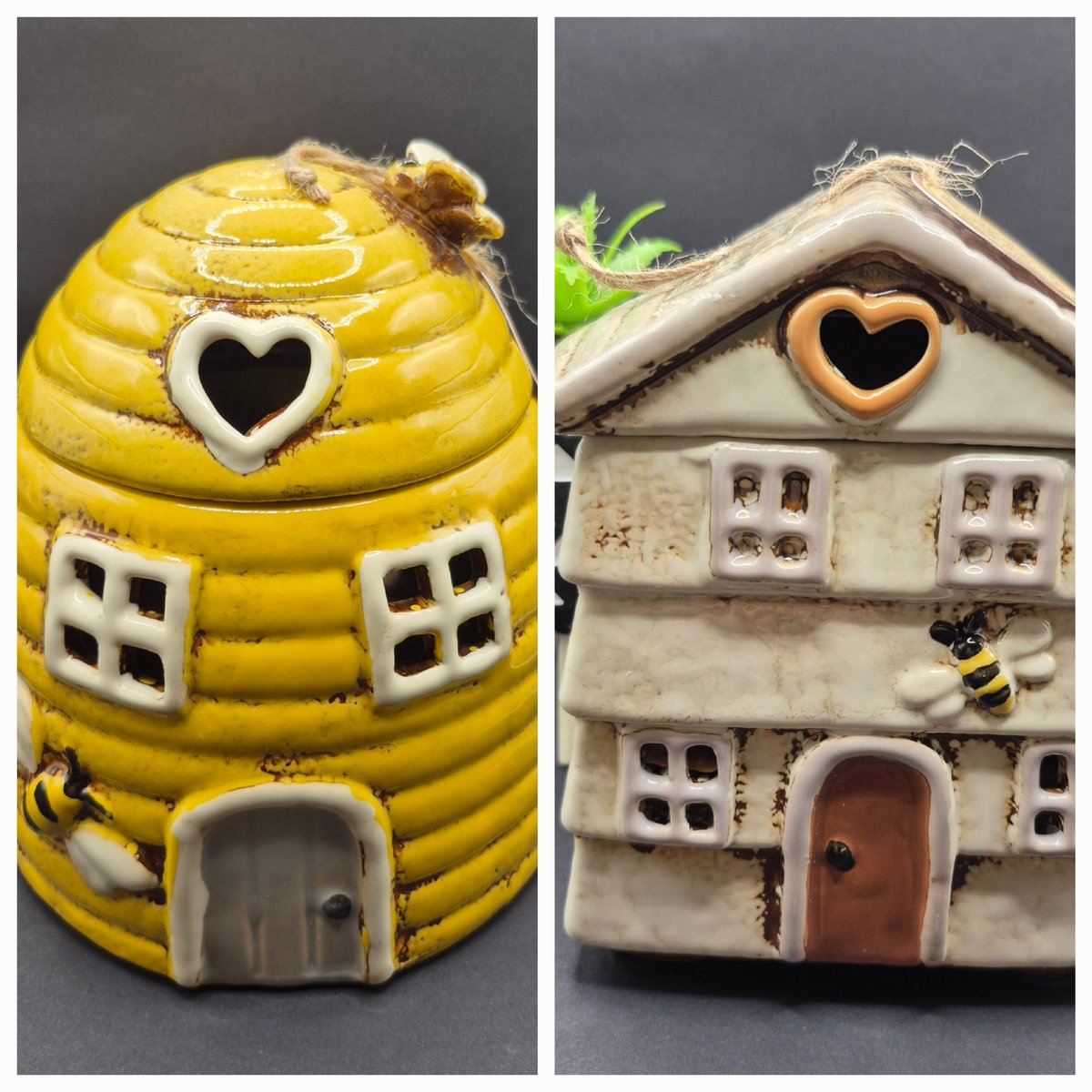 Gill-Eve Honey Bees tweet media